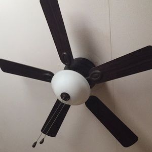 Meet your Posher, Conner